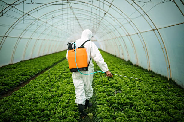 Best Best Pest Control Companies  in Lake Summerset, IL