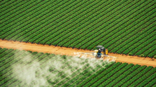 Best Commercial Pest Control Services  in Lake Summerset, IL