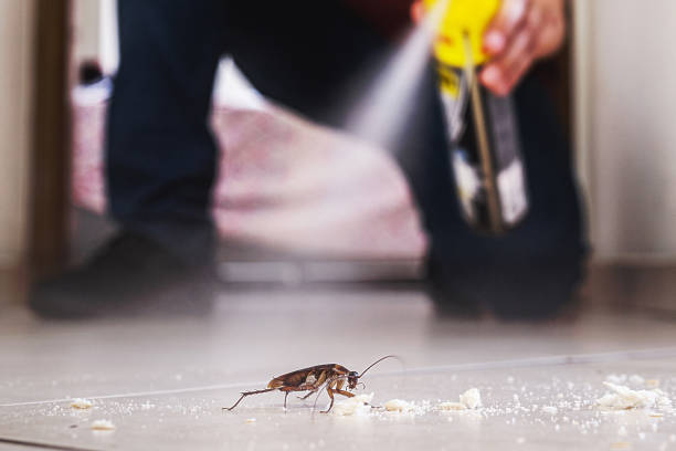 Best Wasp Removal Services  in Lake Summerset, IL
